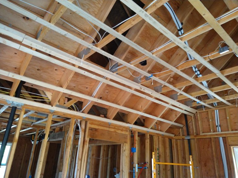 Backyard Air B & B Unit in Lakewood